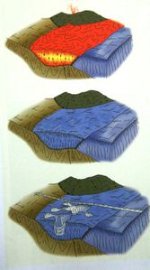 Actu---3-0424-copie.jpg
