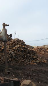 IMG_1772.jpg