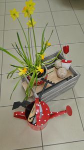 DSC00534