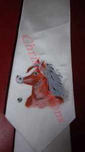 cravate-soie-cheval-20-fevrier--2011-121.jpg