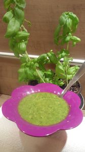 SAUCE-PESTO-BASILIC.jpg