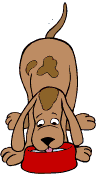 CHIEN MANGE GIF