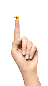 hand lyric
