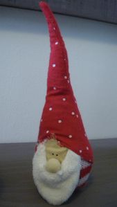 IMGP2462