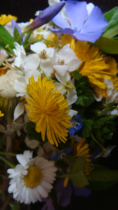 Image-1-copie-6.png