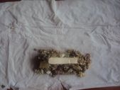 DSC00449.JPG