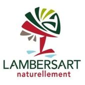 LOGO lambersart-copie-1