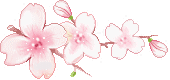 GrossesFLeursRoses.gif