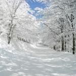 hiver neige