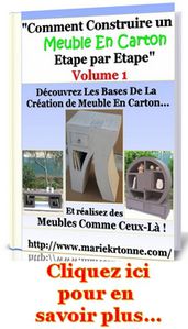 meuble-en-carton-lat.jpg