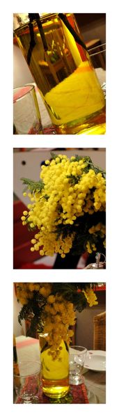 Mimosa bouquet
