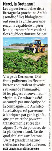 Pollution-Bretagne-algues-vertes.jpg