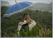 parapluie.jpg