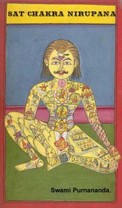 Sapta_Chakra-copy.jpg