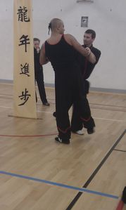 Wing Tsun 5
