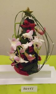 DSCF0546.JPG