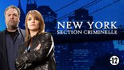 new-york-section-criminelle-replay.jpg