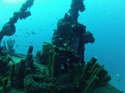 2013 03 - Guadeloupe J9 GoPro 027 (Copier)