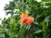 2013 03 - Guadeloupe J6 018