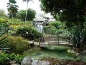 2013 03 - Guadeloupe J6 021