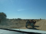 2012 South Africa J15 036