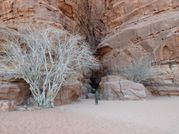 JD J9 - Wadi Rum 064