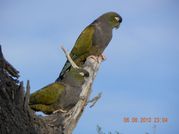 AmSud 2010 - J26 - Cafayate 047