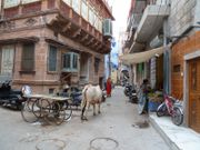 J9 - Jodhpur 089