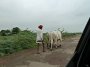 J6 - Udaipur 012
