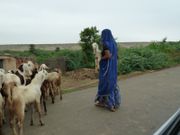 J6 - Udaipur 024