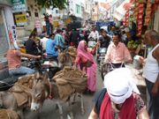 J7 - Udaipur 052