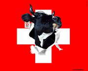 fond-ecran-drapeau-suisse