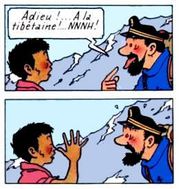 tintin rencontre capitaine