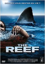 the reef