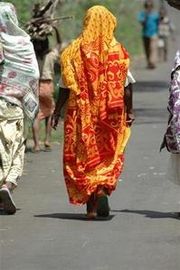 DSC-0056--Medium---Small-.JPG