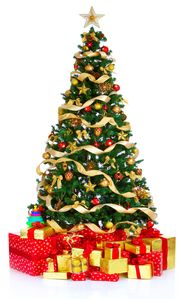 sapin_noel.jpg