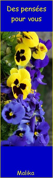 Marque-pages-pensees.jpg