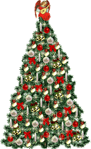 sapin 1