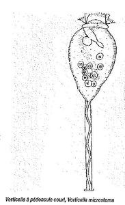Capt_110103_171750_001.jpg