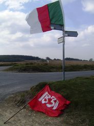 STA73515