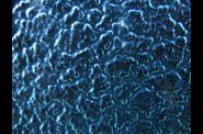 Macro