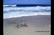REUNION ISLAND SEPT 05