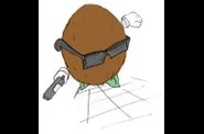 Galerie Coconut #1
