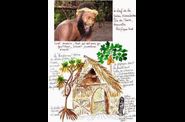 Des aquarelles de maisons traditionnelles