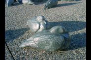 ESPACE-PUBLIC :