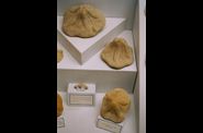 Voyage-Malte-janvier-2006