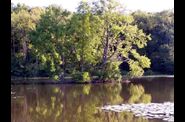 Randonnée en forêt de Chantilly
