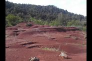 Paysages-des-Maures