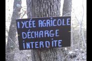 autopsie-de-la-foret