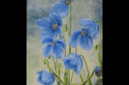 Anne Marie Denis, artiste peintre